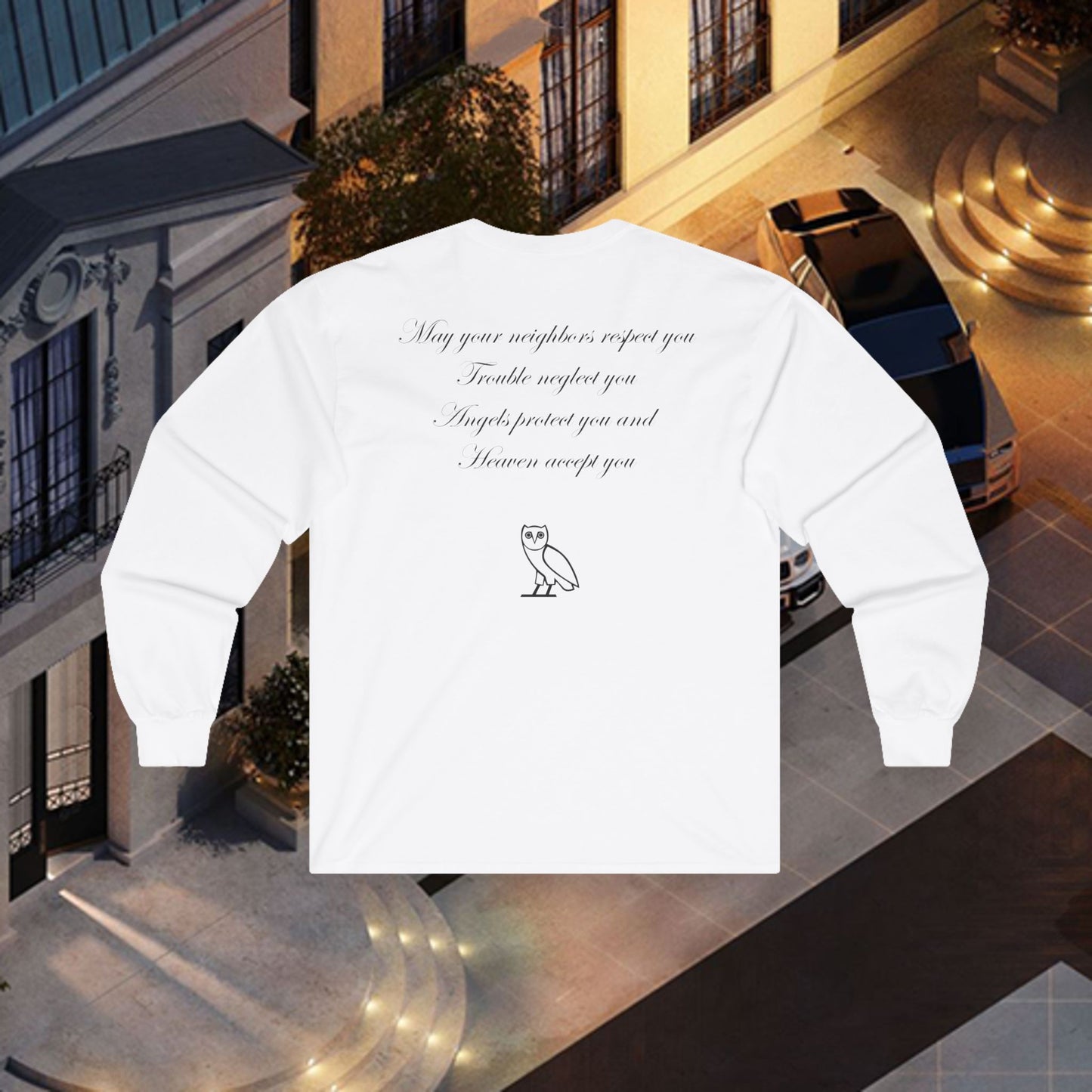 Drake Take Care Longsleeve Heavy Cotton Tee